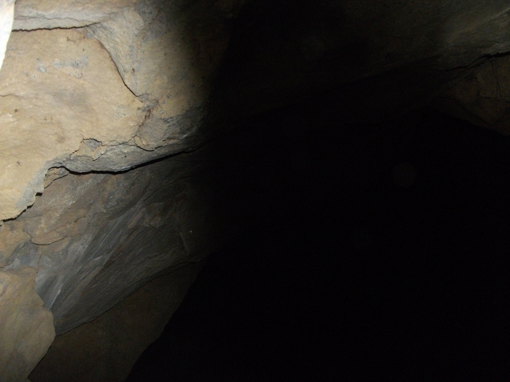 Grotta Piano Porcaria-Numero visite:31843