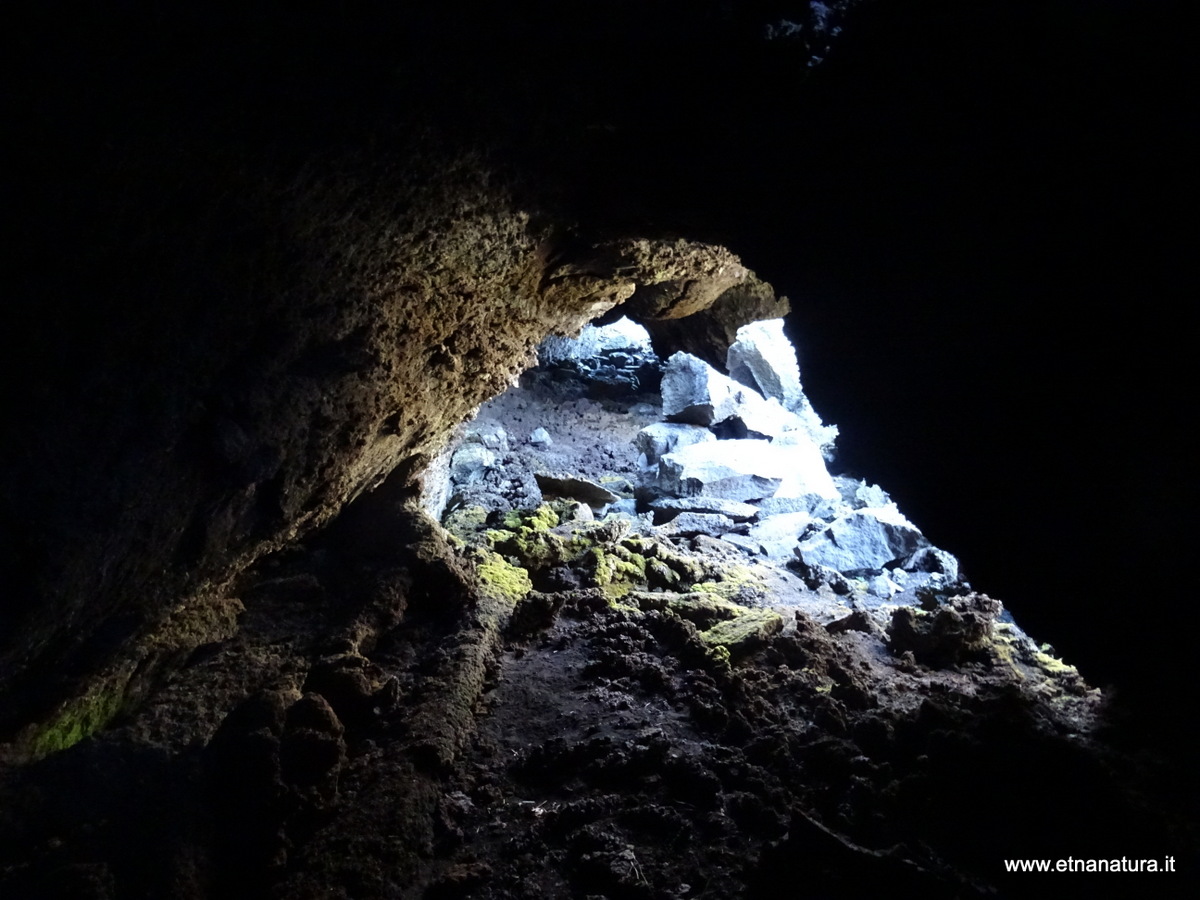 Grotta dei Rotoli-Numero visite:37253