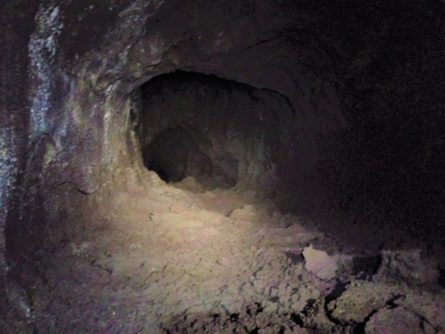 Grotta del Lago-Numero visite:16172