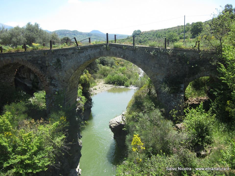 Ponte Serravalle-Numero visite:34073