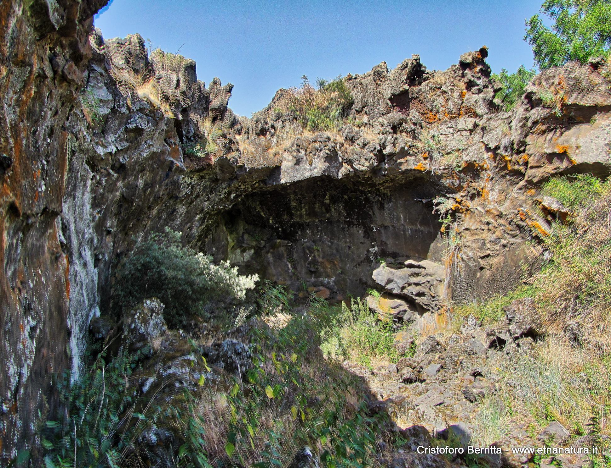 Grotta Intraleo-Numero visite:35293