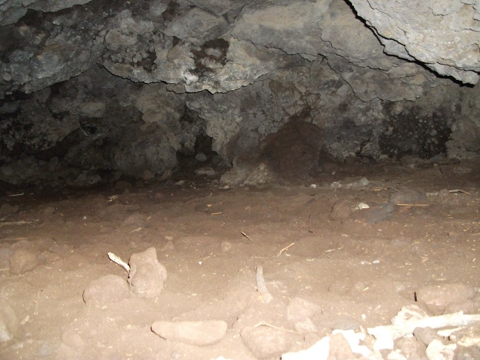 Grotta Nicodemo-Numero visite:31515