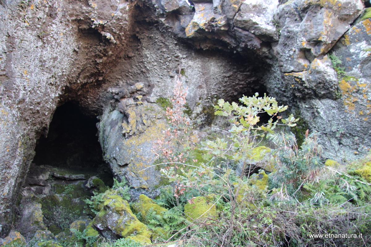 Grotta Sciara Galifi-Numero visite:1676