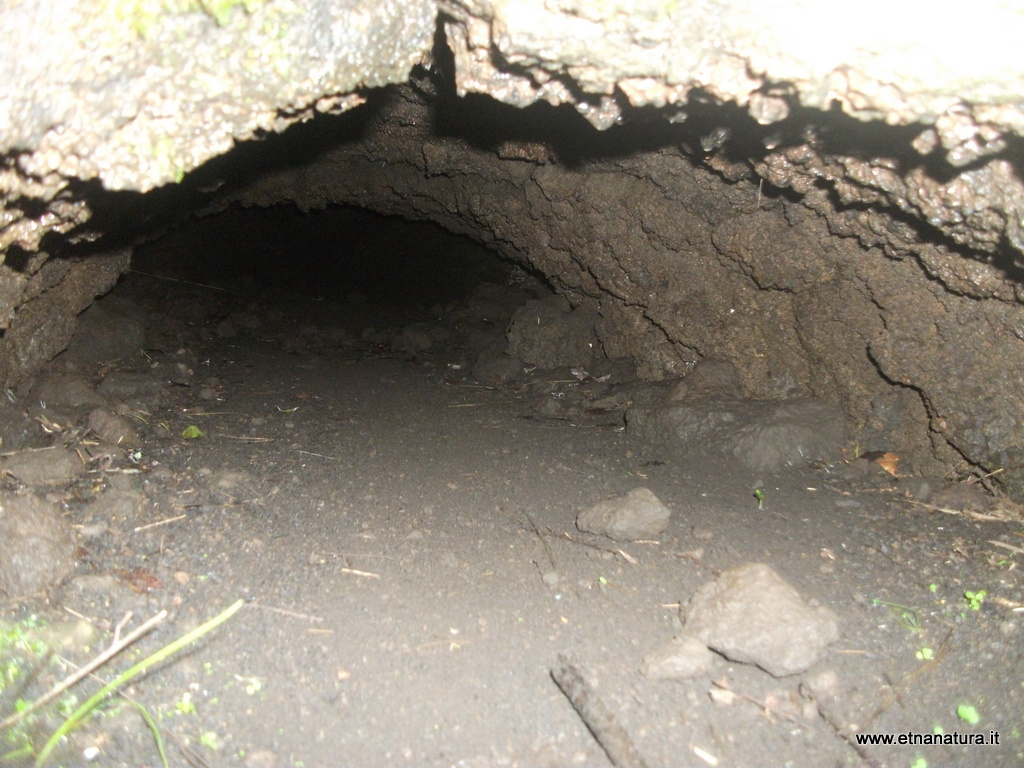 Grotta del Porcospino-Numero visite:30161