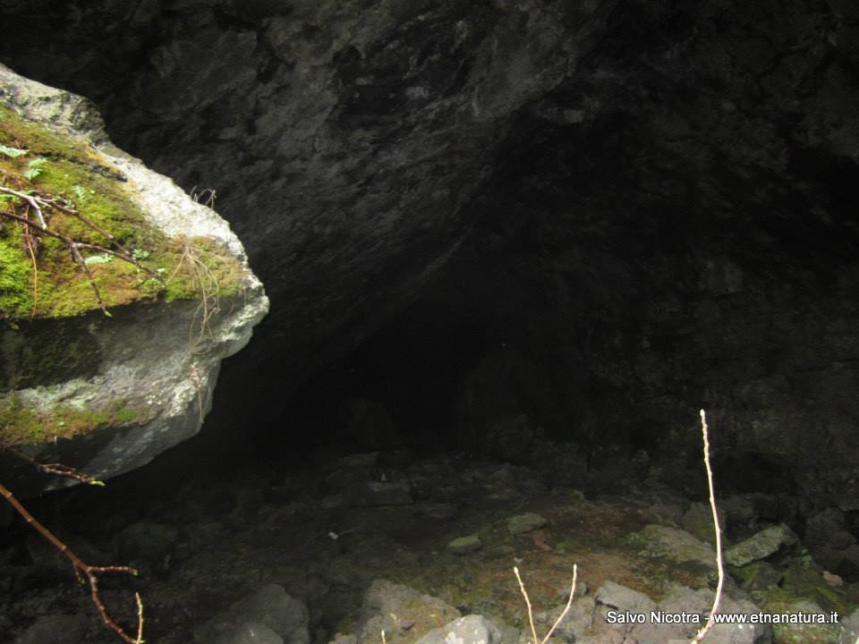 Grotta delle Colombe-Numero visite:34834