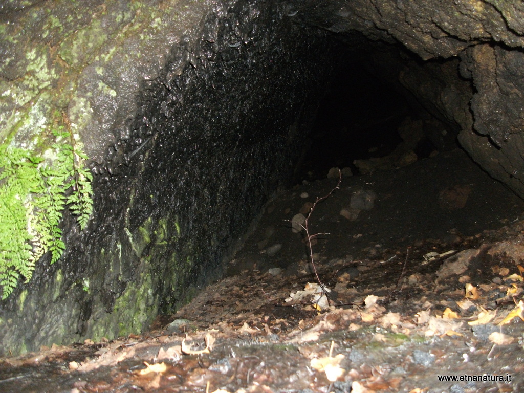 Grotta monte Zappinazzo-Numero visite:32328