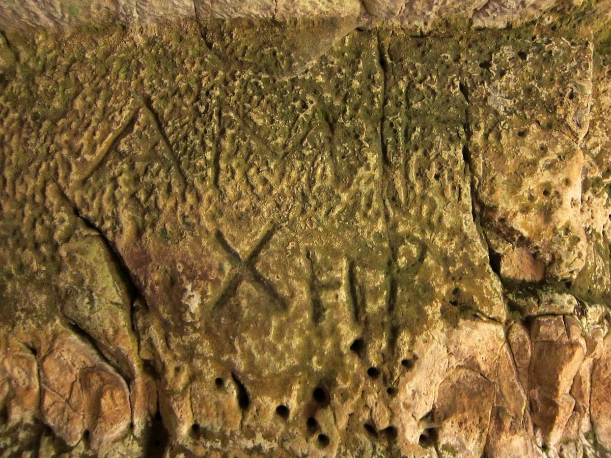 Grotte del Ginnasio-Numero visite:16745