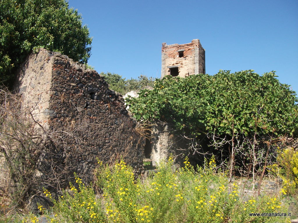 Torre di Casalotto-Numero visite:31804