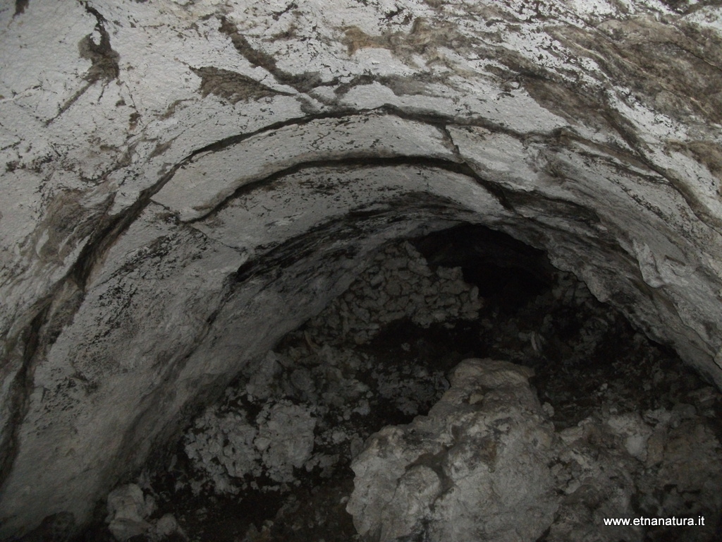 Grotta Falconiera-Numero visite:30828