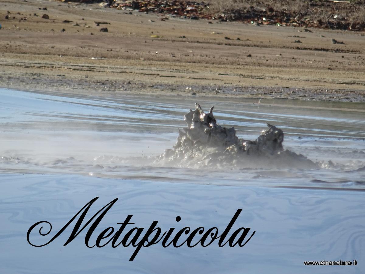 Metapiccola