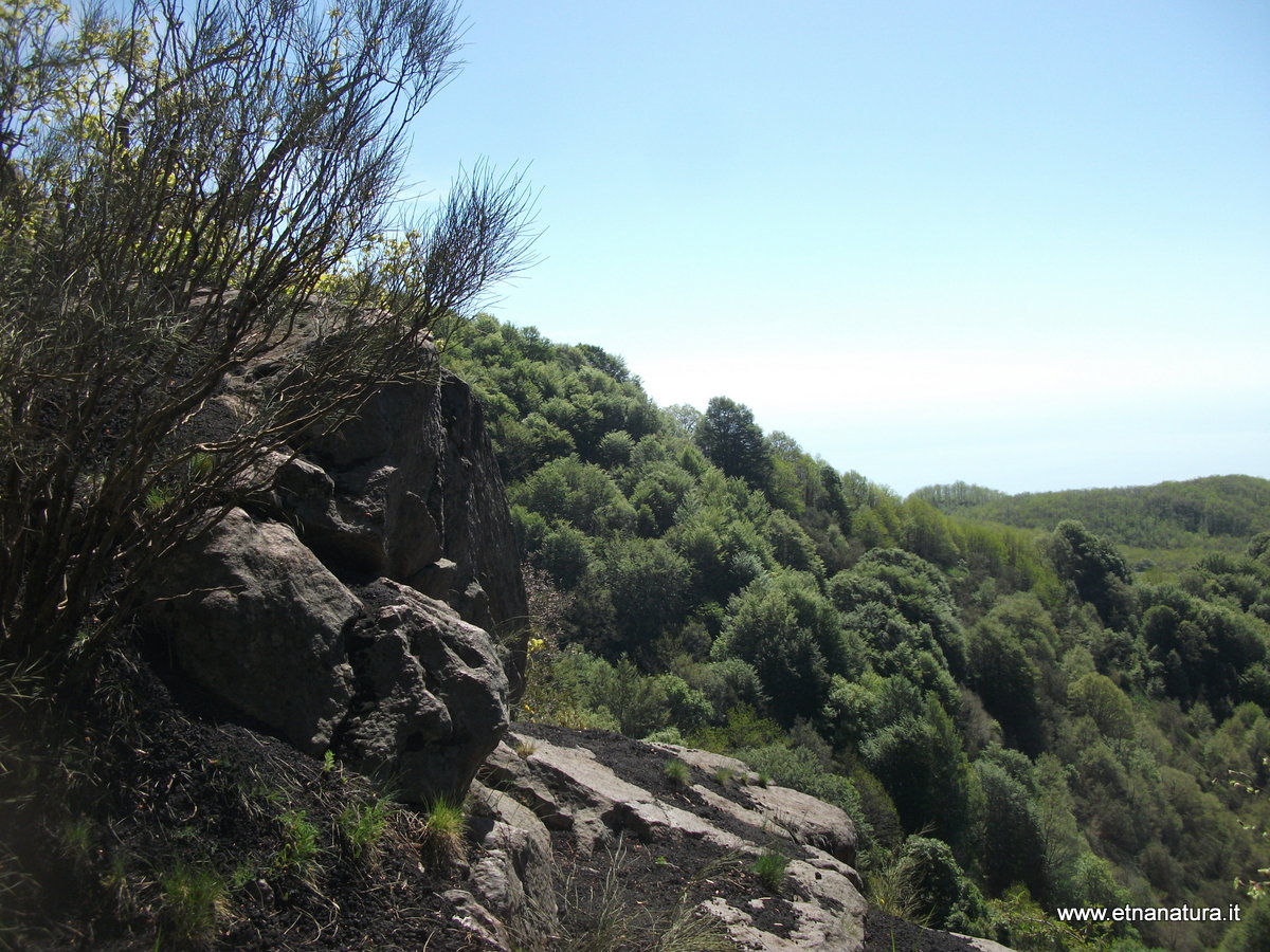 Acqua Rocca