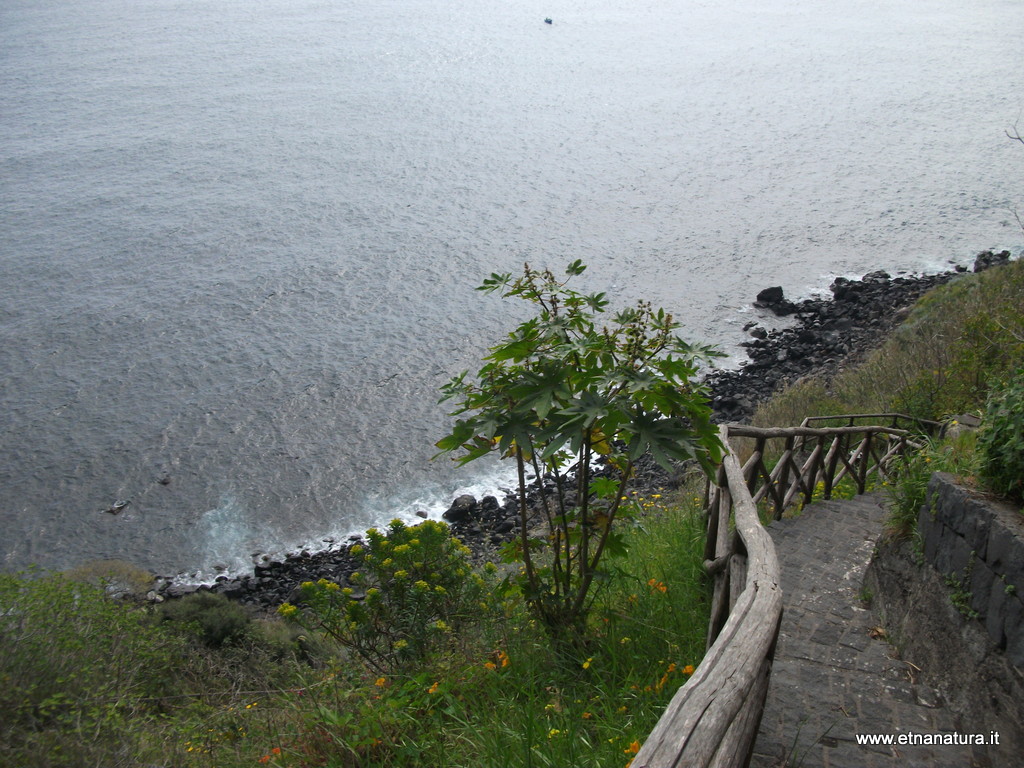 Acqua del Ferro