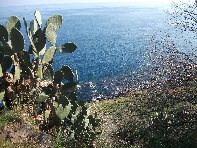 Acque_Grandi - Acque_grandi_20100124%20008.jpg
