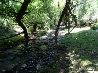 Alcantara alto