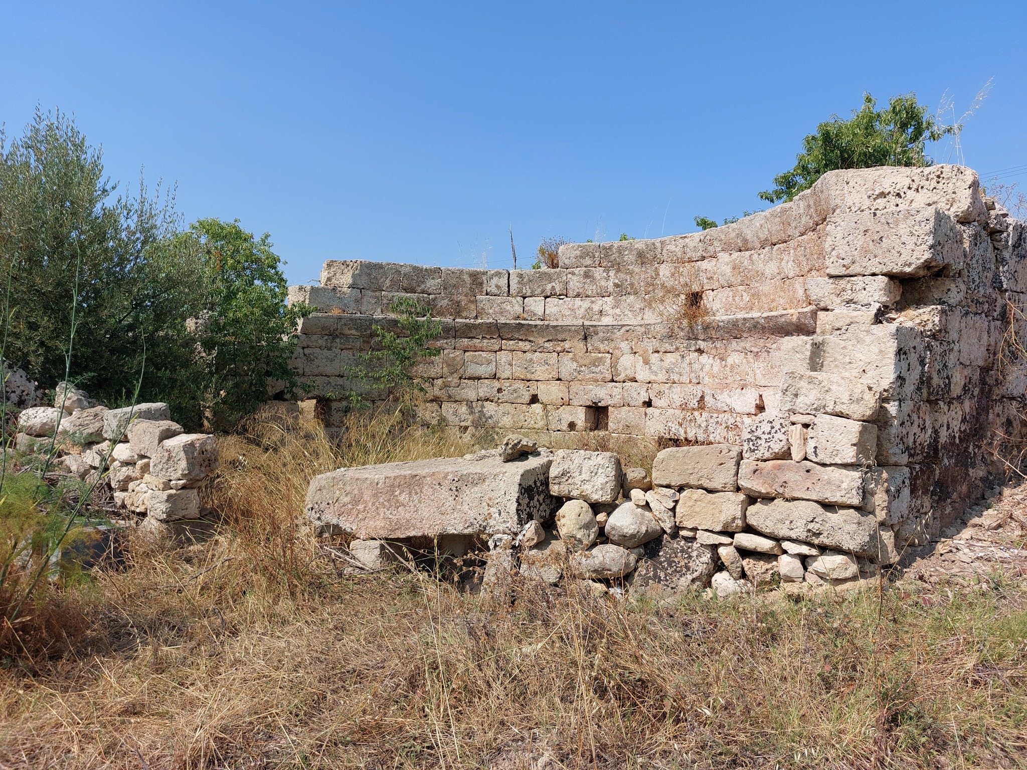 Basilica Pitturata-Numero visite:775