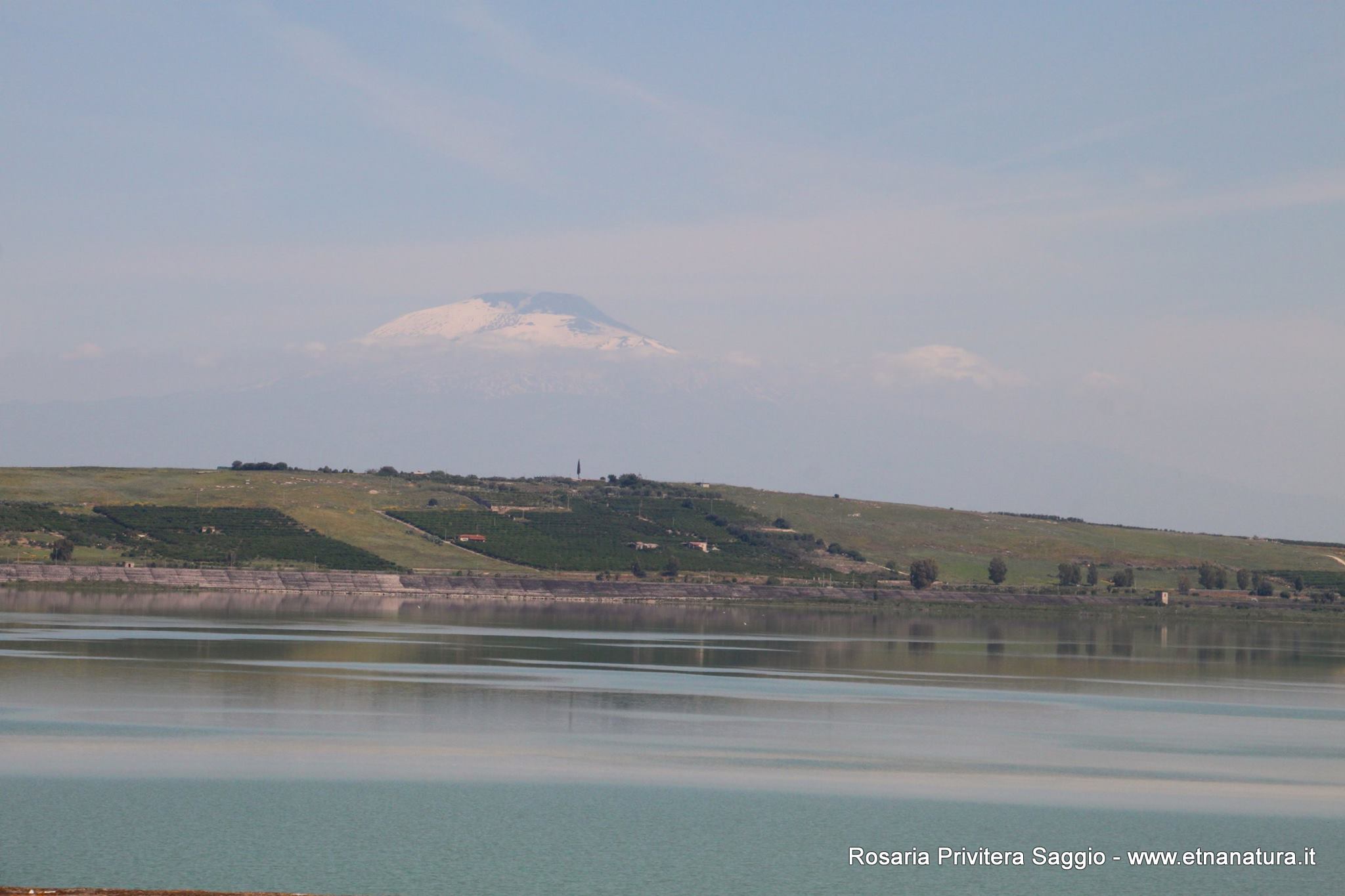 Biviere di Lentini