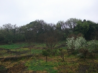 sco dello Scacchiere-01042012 3190
