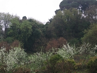 sco dello Scacchiere-01042012 3191