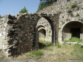 Numero visite mese Maggio: 24
