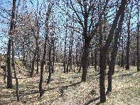 Casa_Bada - 20110410%20094.jpg