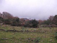 Casa_della_Capinera - 20110120%20070.jpg
