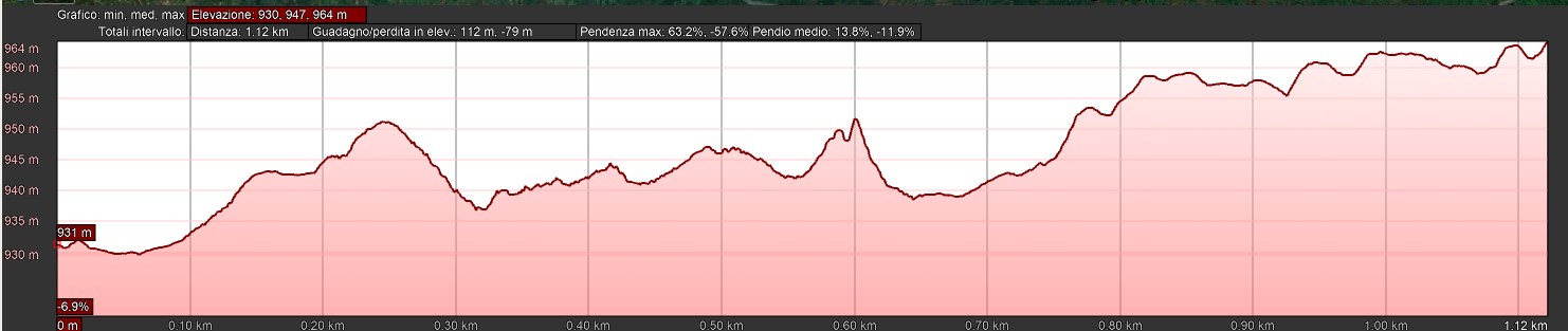 Mappa_altimetrica