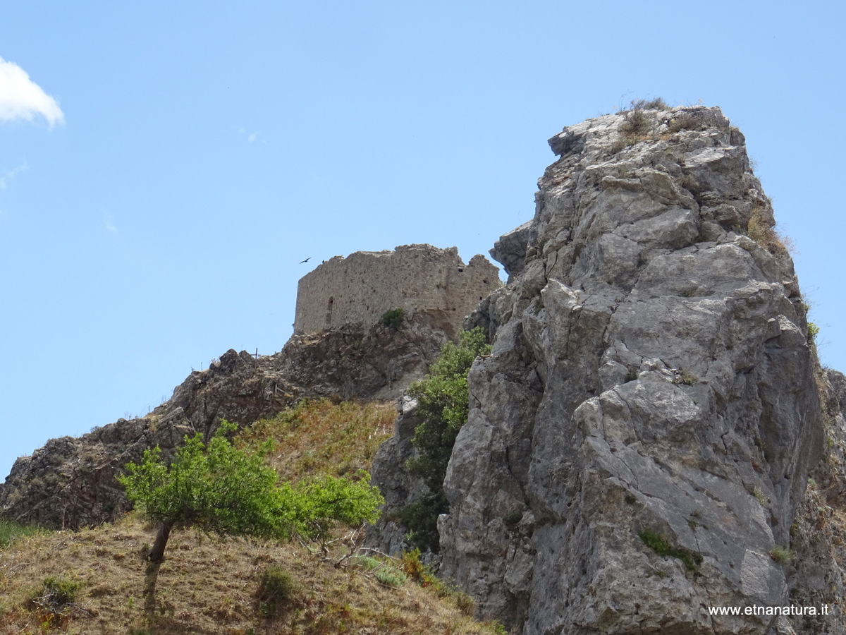 Castello Fiumedinisi-Numero visite:33370