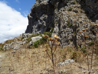 Castello Fiumedinisi
