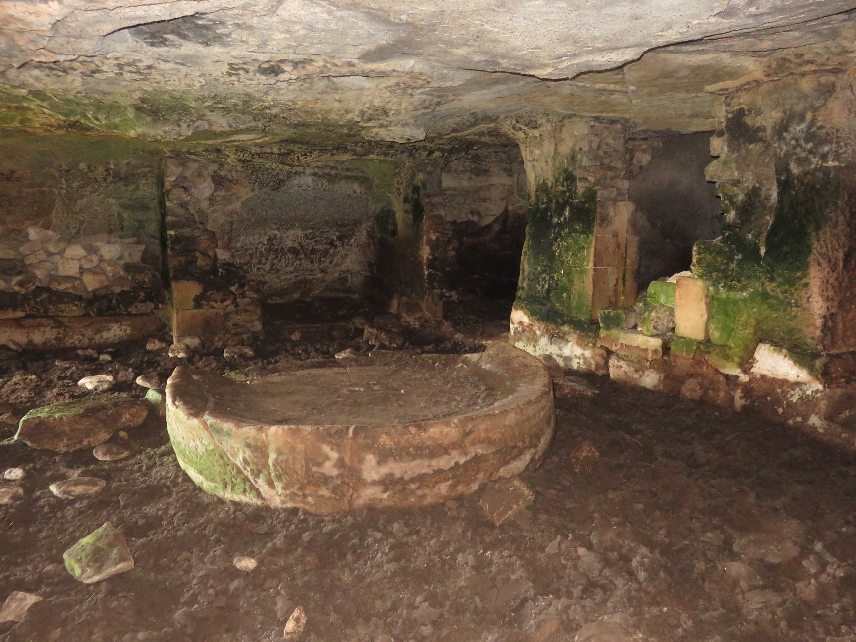 Catacombe cava Palombieri-Numero visite:20200