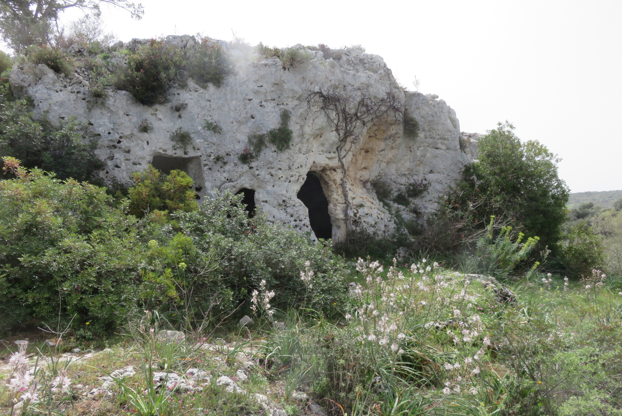 Cava Alfano-Numero visite:169