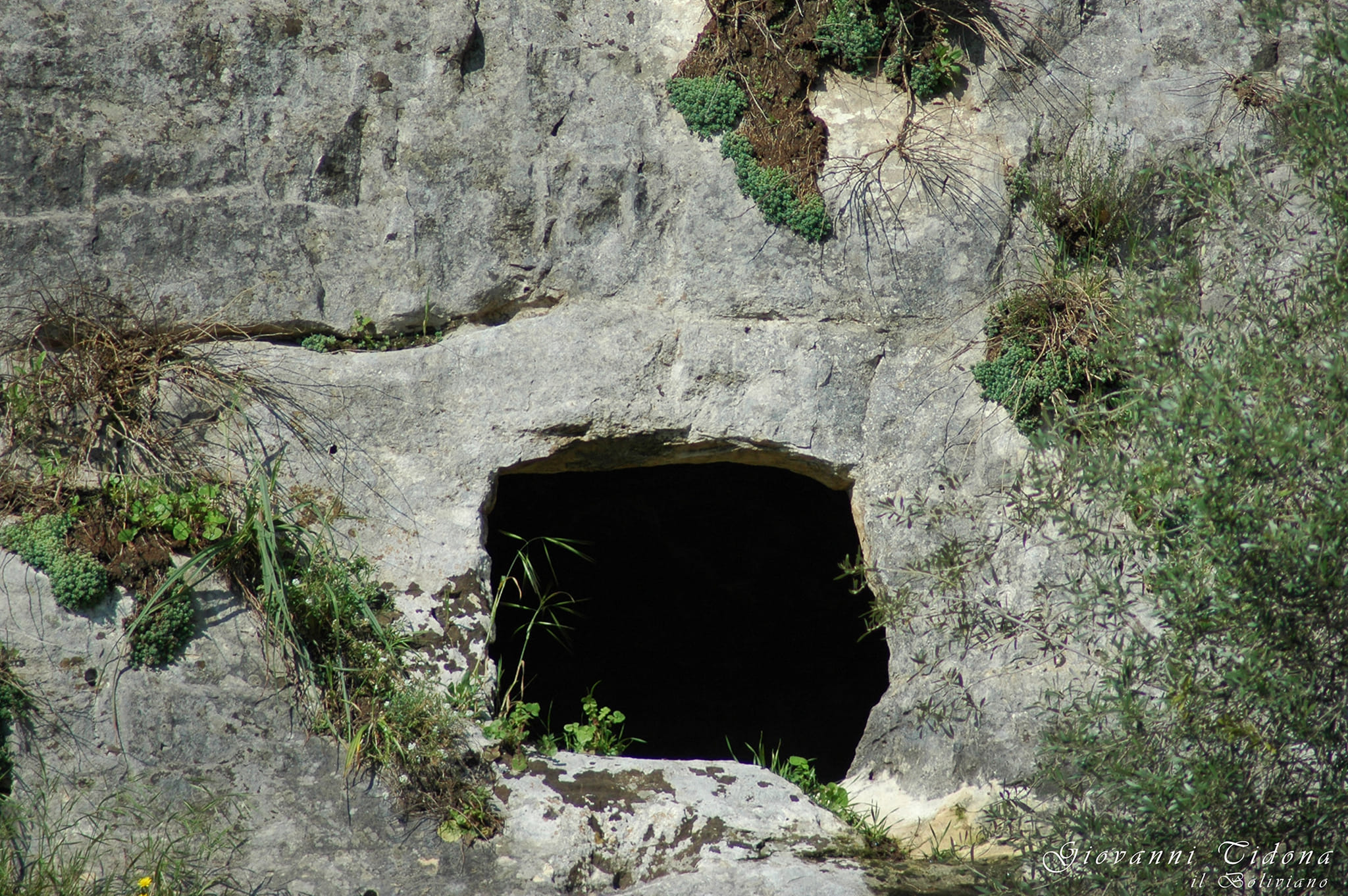 Cava Gria