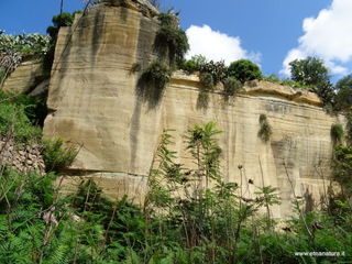Numero visite mese Maggio: 79