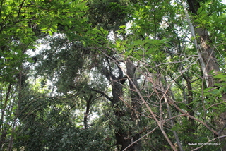 Cerro Portella Calanna