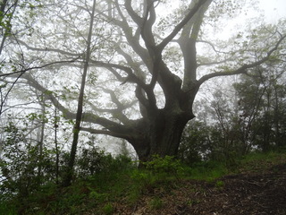 Cerro monte Fontane