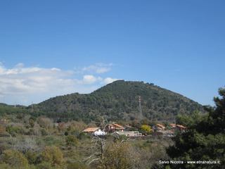 sterna della Regina1016346 625864267466814 575973451 n