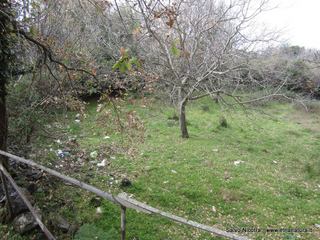 sterna della Regina1656320 625861687467072 1527581244 n