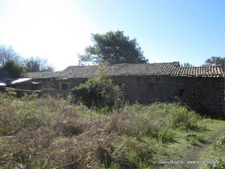 sterna della Regina1781991 625862190800355 458857277 n