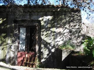sterna della Regina1901340 625862050800369 1490424837 n