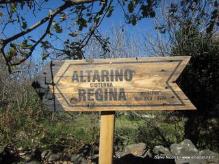 sterna della Regina1966767 625860537467187 1382514686 n