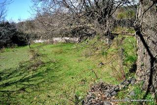 sterna della Regina1970776 823509954341361 786676329 n