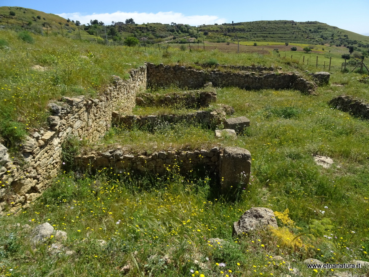 Colle san Mauro-Numero visite:27709