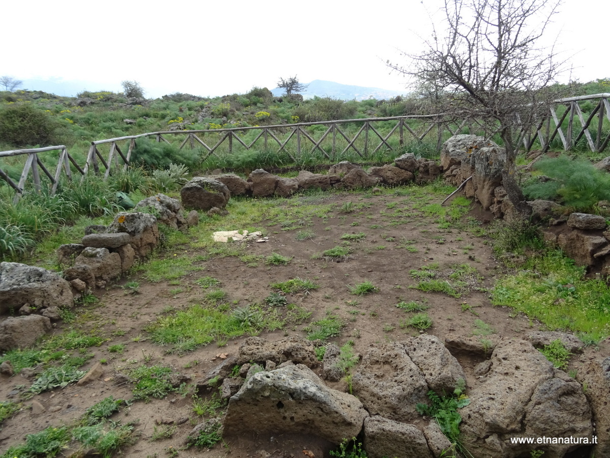 Contrada Edera-Numero visite:31032