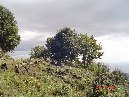 ntrada Ilice-DSC00623