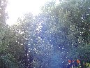 ntrada Ilice-DSC00636