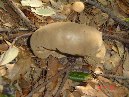 Contrada_Ilice - DSC00643.JPG
