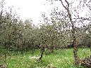 ntrada Ilice-Monte Ilice 036
