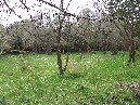ntrada Ilice-Monte Ilice 037