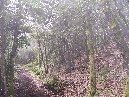 ntrada Ilice-Monte Ilice 043