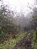 ntrada Ilice-Monte Ilice 044