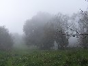ntrada Ilice-Monte Ilice nebbia 2